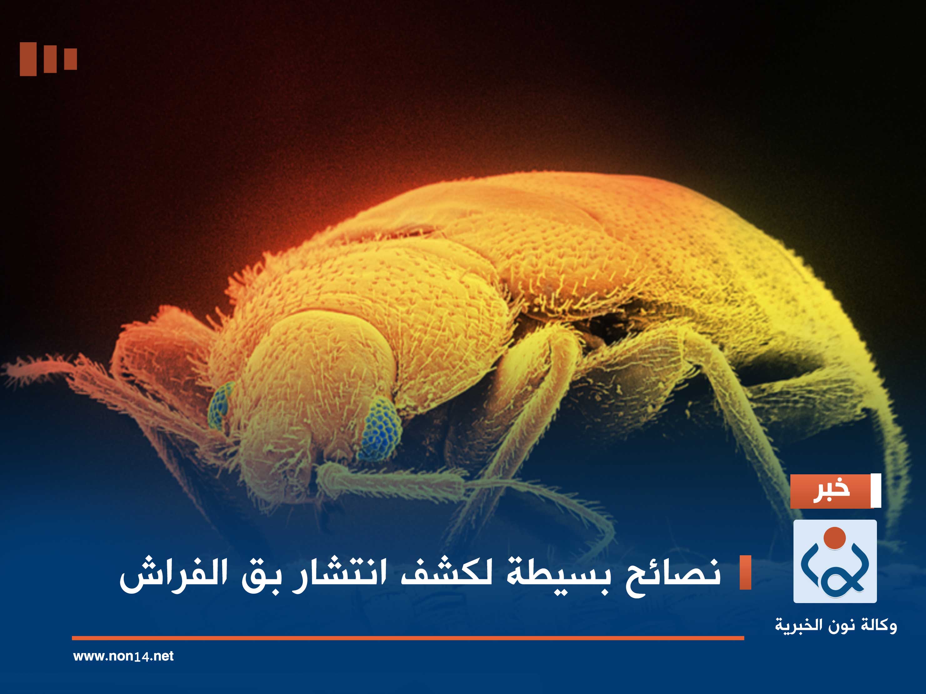 نصائح بسيطة لكشف انتشار بق الفراش