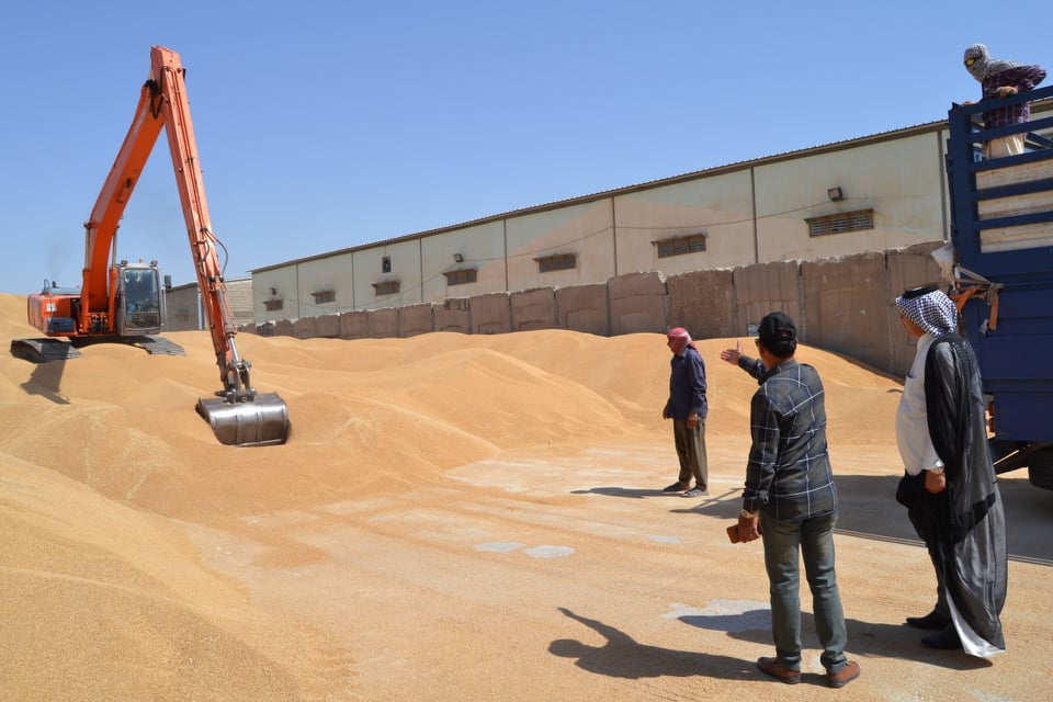 الجمعيات الفلاحية في كربلاء تنتقد تأخر انجاز معمل تنقية وتعفير البذور في المحافظة