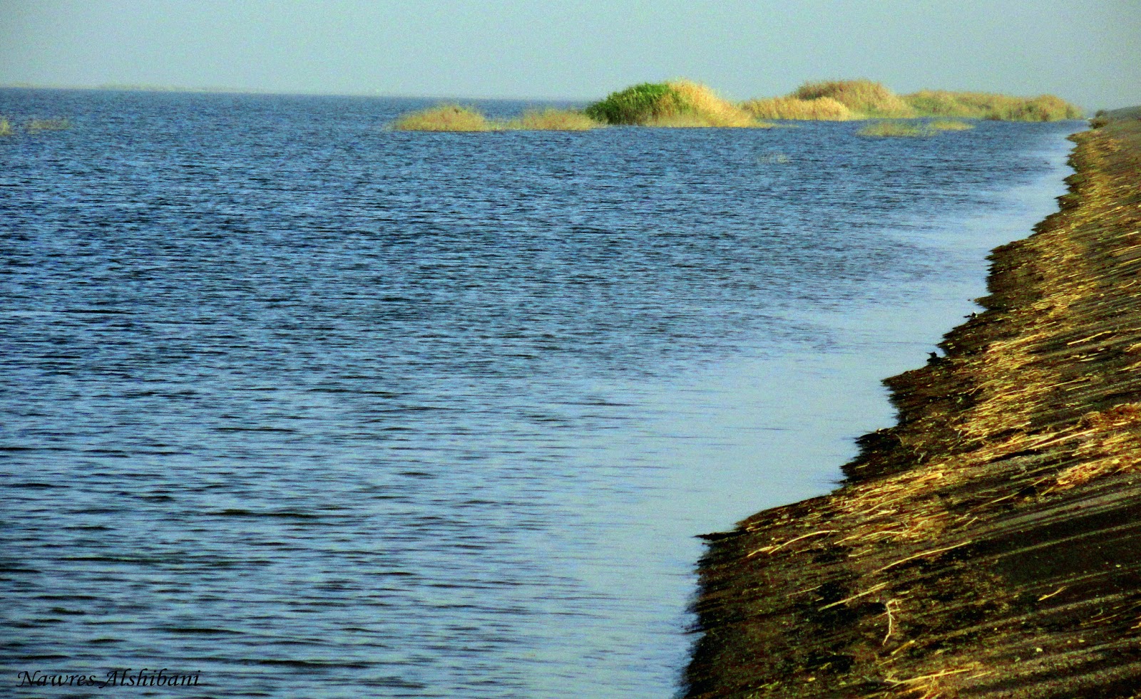 تعرض مدير عام بالموارد المائية لاطلاق نار اثناء محاولته رفع التجاوزات في بحيرة الدلمج