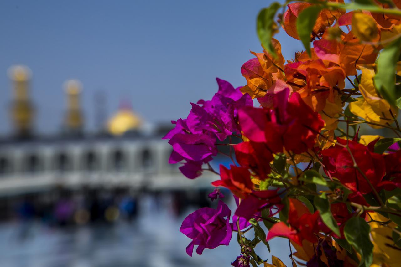 "انخفاض في درجات الحرارة".. طقس الايام الاربعة المقبلة في العراق