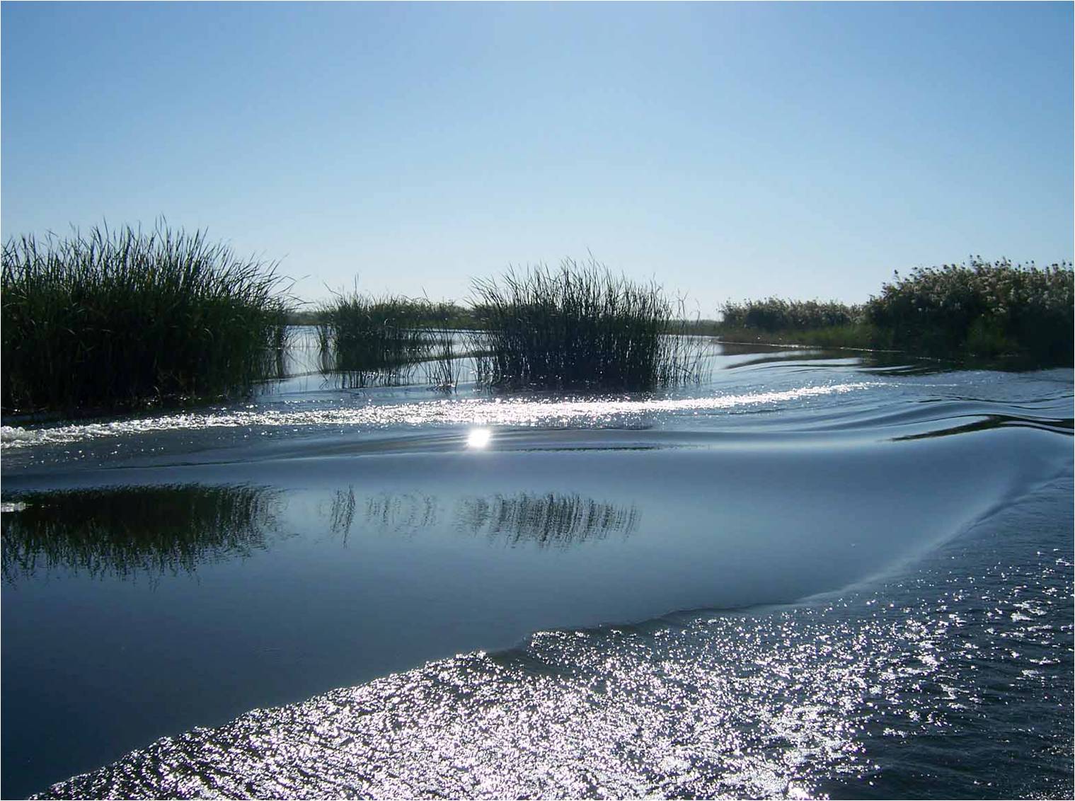 الموارد المائية تطمئن البصرة وتؤكد تأمين حصص جميع محافظات العراق