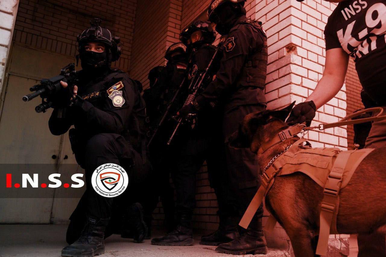 القبض على 11 إرهابياً في ثلاث محافظات