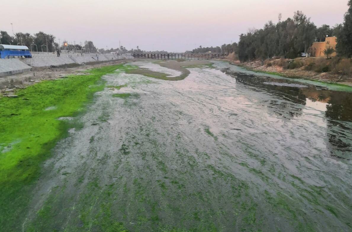 نائب: العراق لا يقبل الصدقات وشهر من زيادة الاطلاقات المائيه لا تكفي
