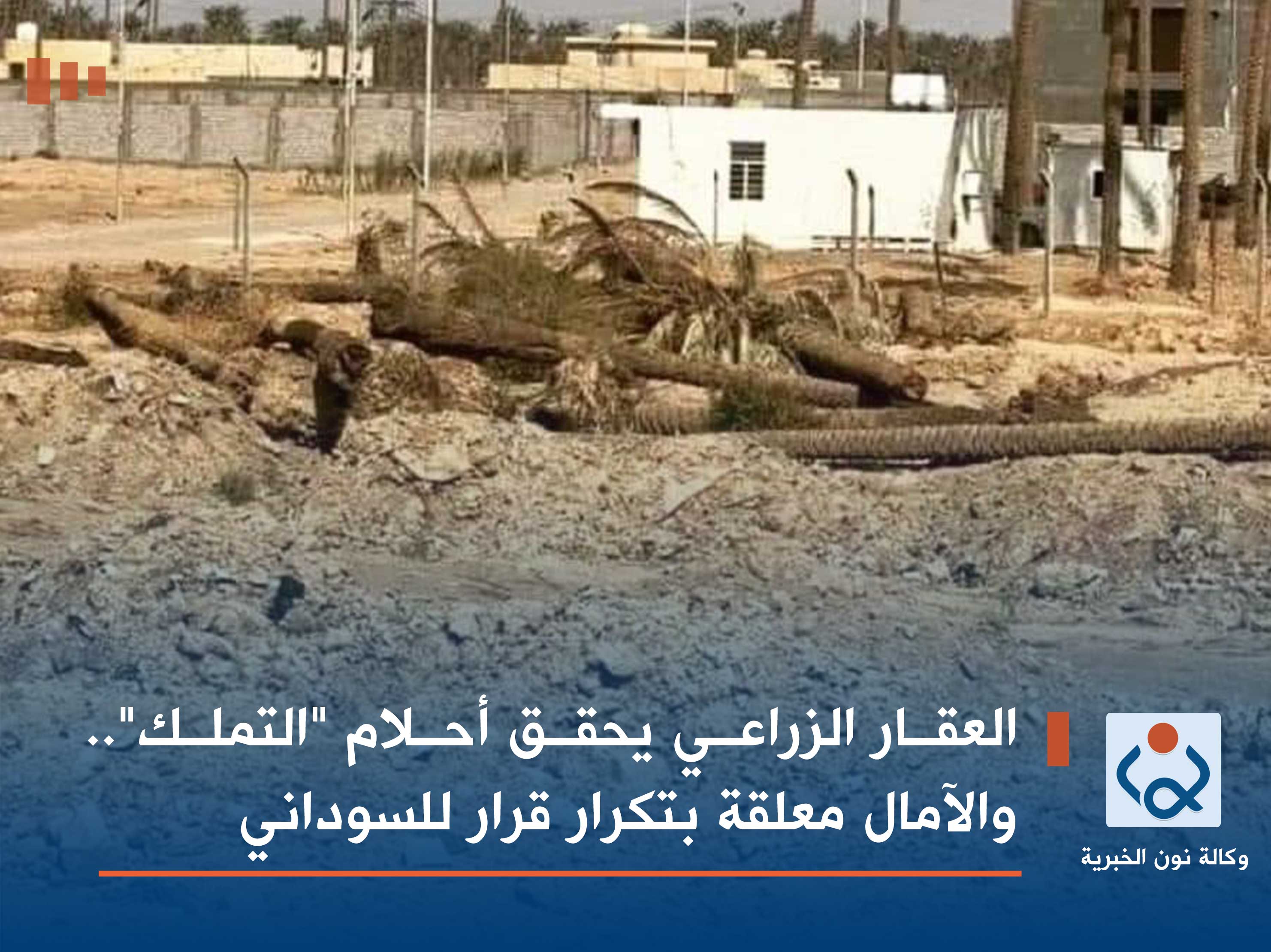 العقار الزراعي يحقق أحلام "التملك".. والآمال معلقة بتكرار قرار للسوداني