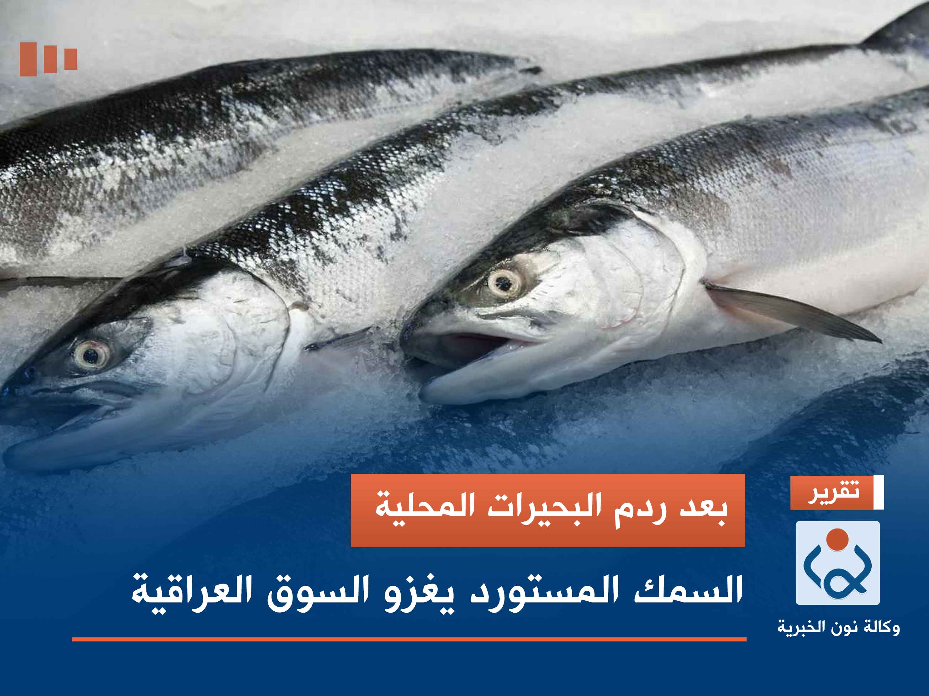 بعد ردم البحيرات المحلية.. السمك المستورد يغزو السوق العراقية