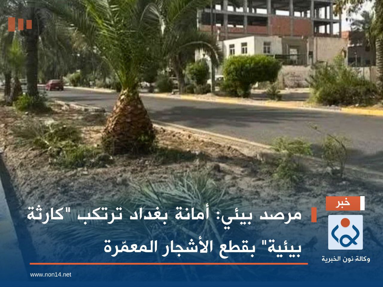 مرصد بيئي: أمانة بغداد ترتكب "كارثة بيئية" بقطع الأشجار المعمّرة