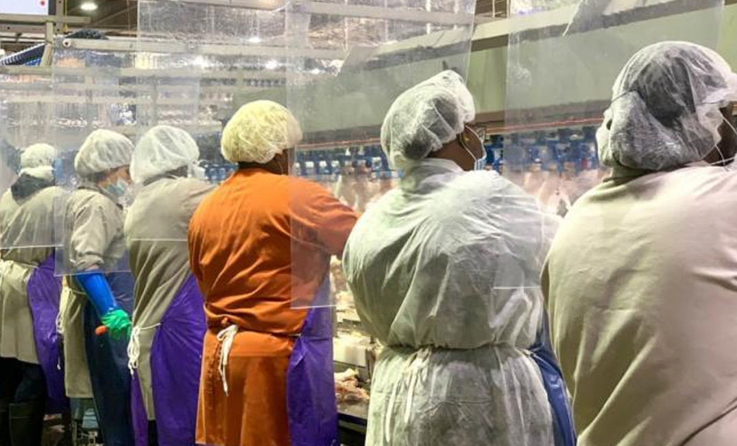 الصين تتخذ خطوة تاريخية تتعلق بمقاومة الفيروسات