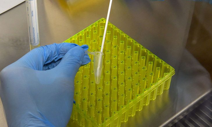 دراسة: لقاح كورونا البريطاني آمن ويحفز جهاز المناعة