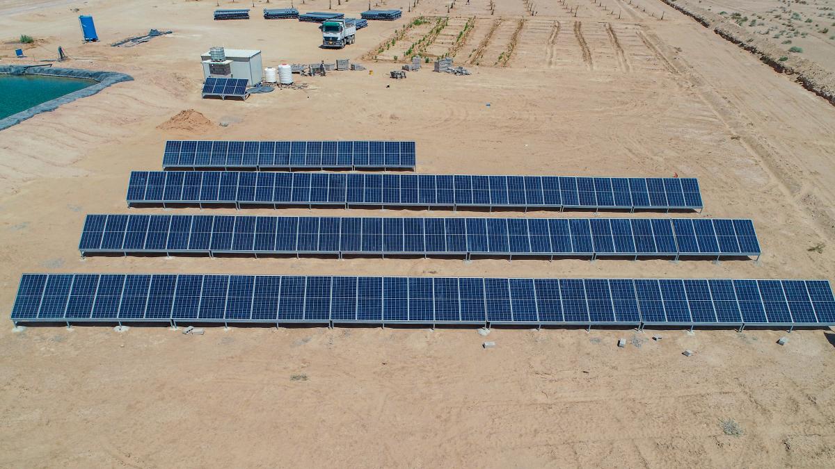 بالصور:العتبةُ العبّاسية المقدّسة تستثمر الطاقة البديلة لتغذية مشاريعها بالكهرباء