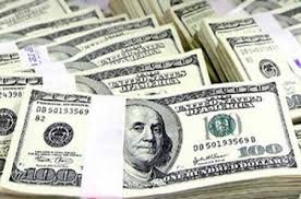 أمريكا تدعم الخدمات البيطرية في العراق بأكثر من مليوني دولار