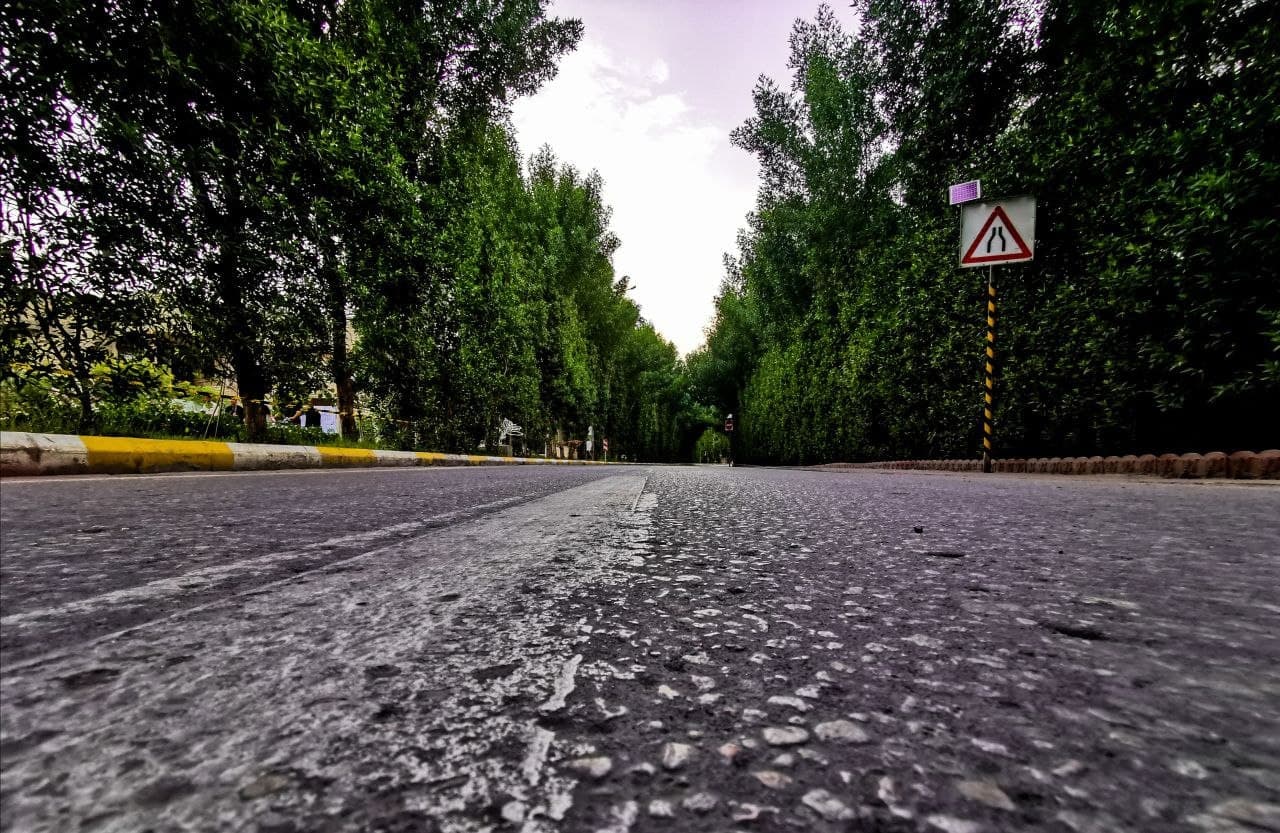 قسمُ الزينة والتشجير بالعتبة الحسينية المقدسة يزين شوارع كربلاء:نزرع سنويا بالاماكن العامة اكثر من مليون نبته