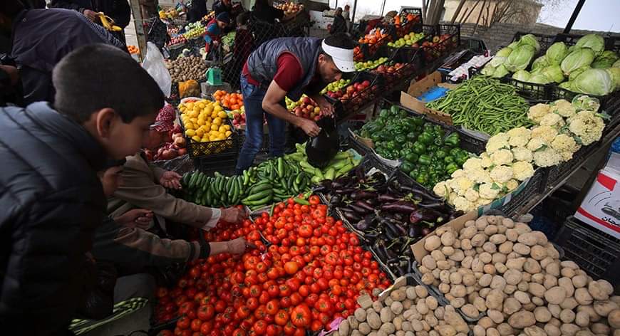 العراق يتجه لاستيراد الطماطم والباذنجان والخيار