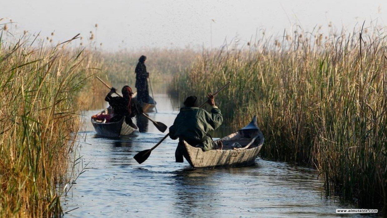 كندا ترسم سيناريوهات الرفاهية لأهوار العراق بقرابة 4 مليون دولار