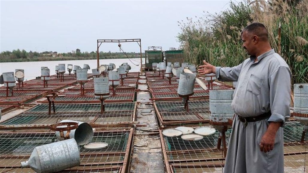 قرارات حكومية جديدة تخص تربية الأسماك في الأنهر