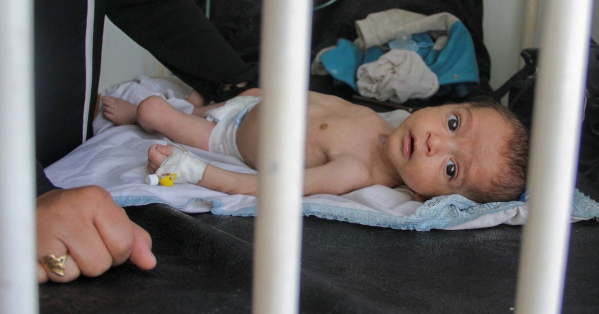 40 ألف رضيع مهددون بالموت جوعا في غزة