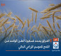 العراق يحدد تسعيرة الطن الواحد من القمح للموسم الزراعي الحالي