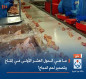 ما هي الدول العشر الأولی في إنتاج وتصدير لحم الدجاج؟