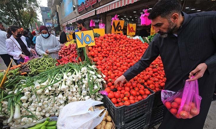 بينها الطماطة.. العراق يقرر إيقاف استيراد 5 محاصيل زراعية