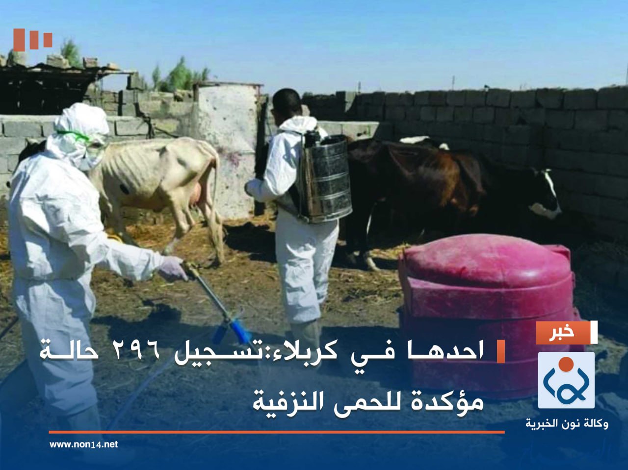 احدها في كربلاء:تسجيل 296 حالة مؤكدة للحمى النزفية