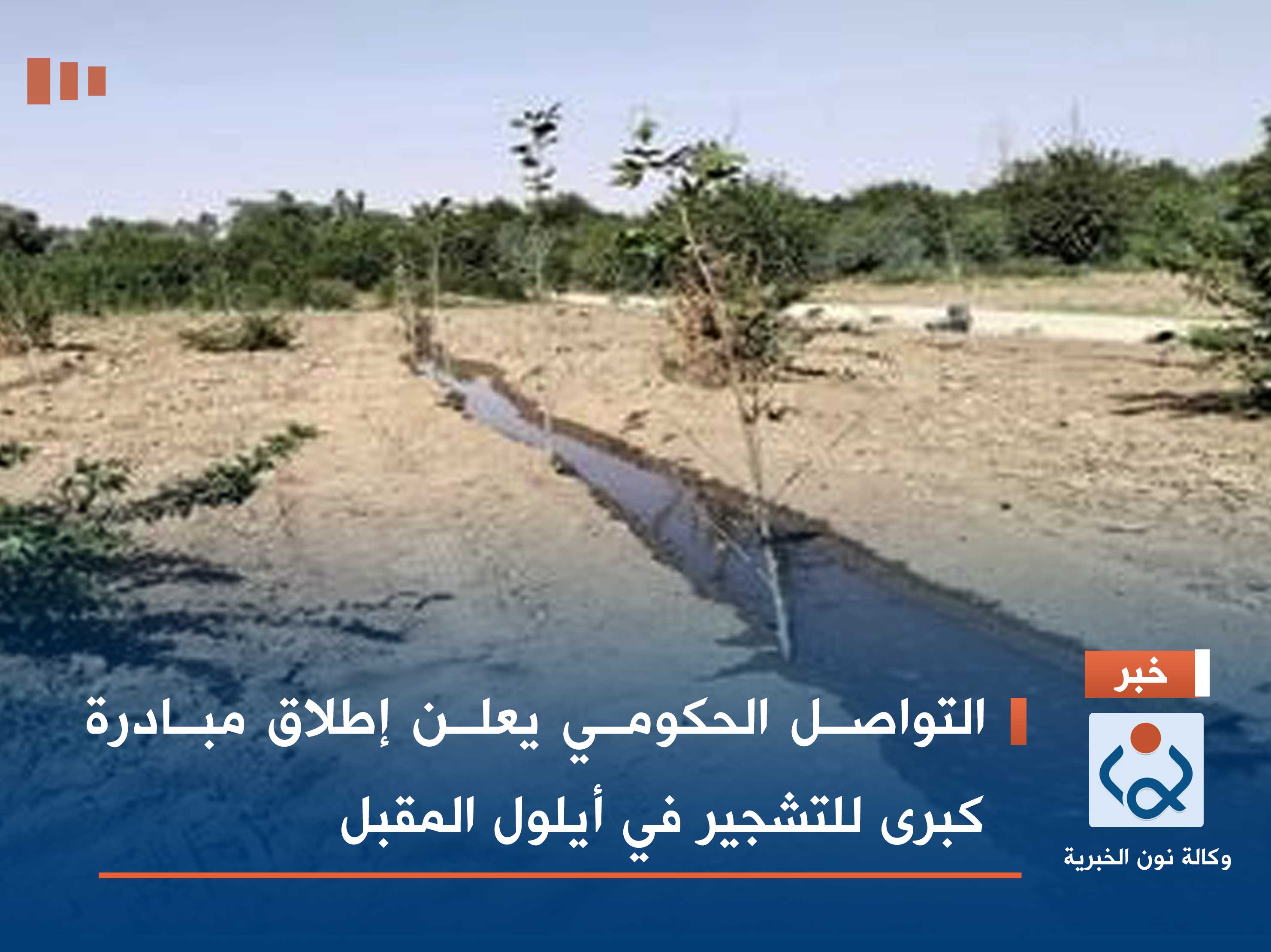 التواصل الحكومي يعلن إطلاق مبادرة كبرى للتشجير في أيلول المقبل