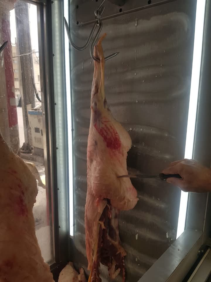 صحة كربلاء والجهات الساندة تتخذ إجراءات إحترازية للوقاية من مرض الحمى النزفية