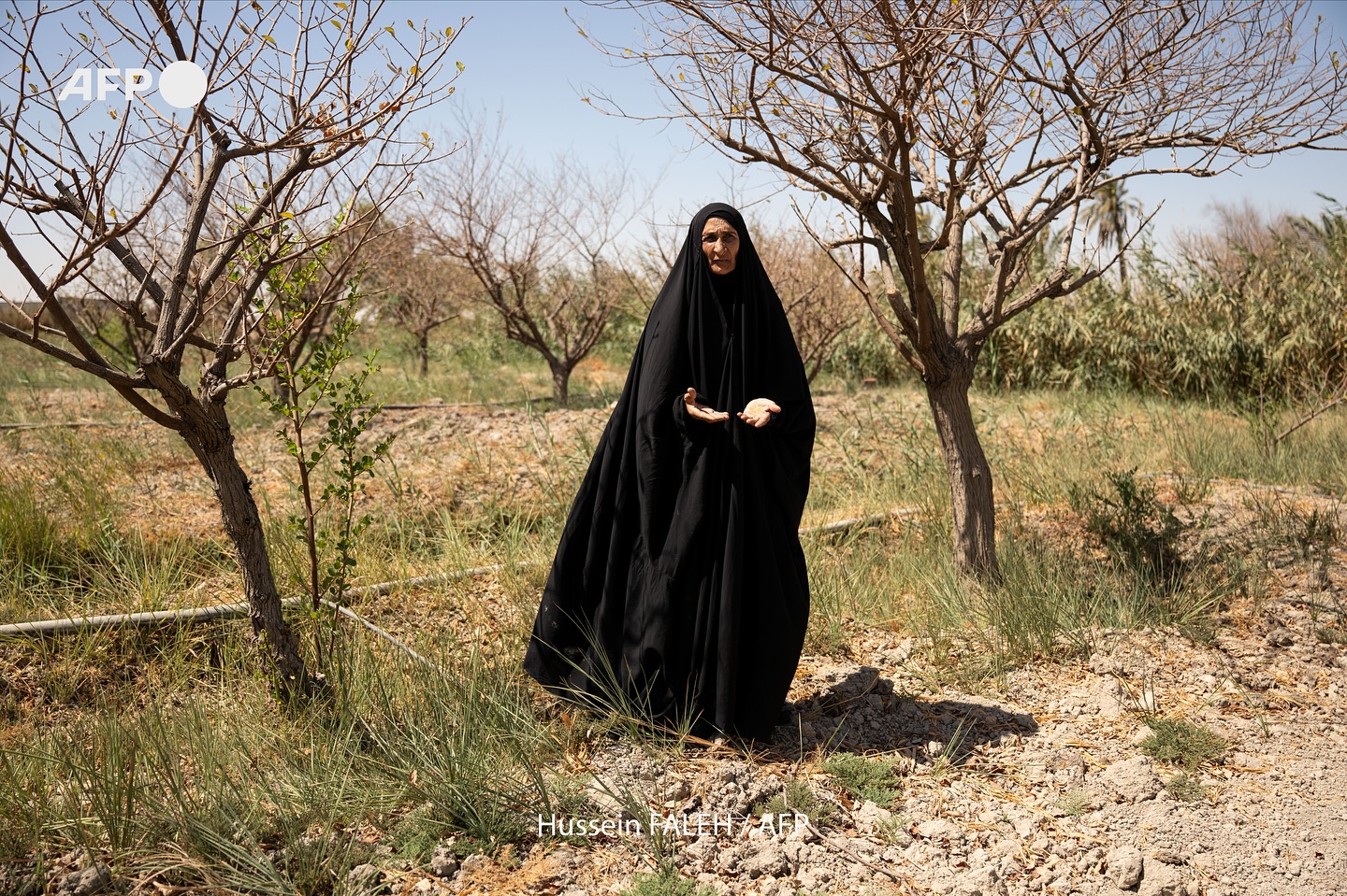 "وجدتُ الحلال ميتاً بسبب المياه المالحة".. صرخة سيدة عراقية تلخص مأساة أزمة لم تشهدها البلاد منذ 89 عاماً (صور)