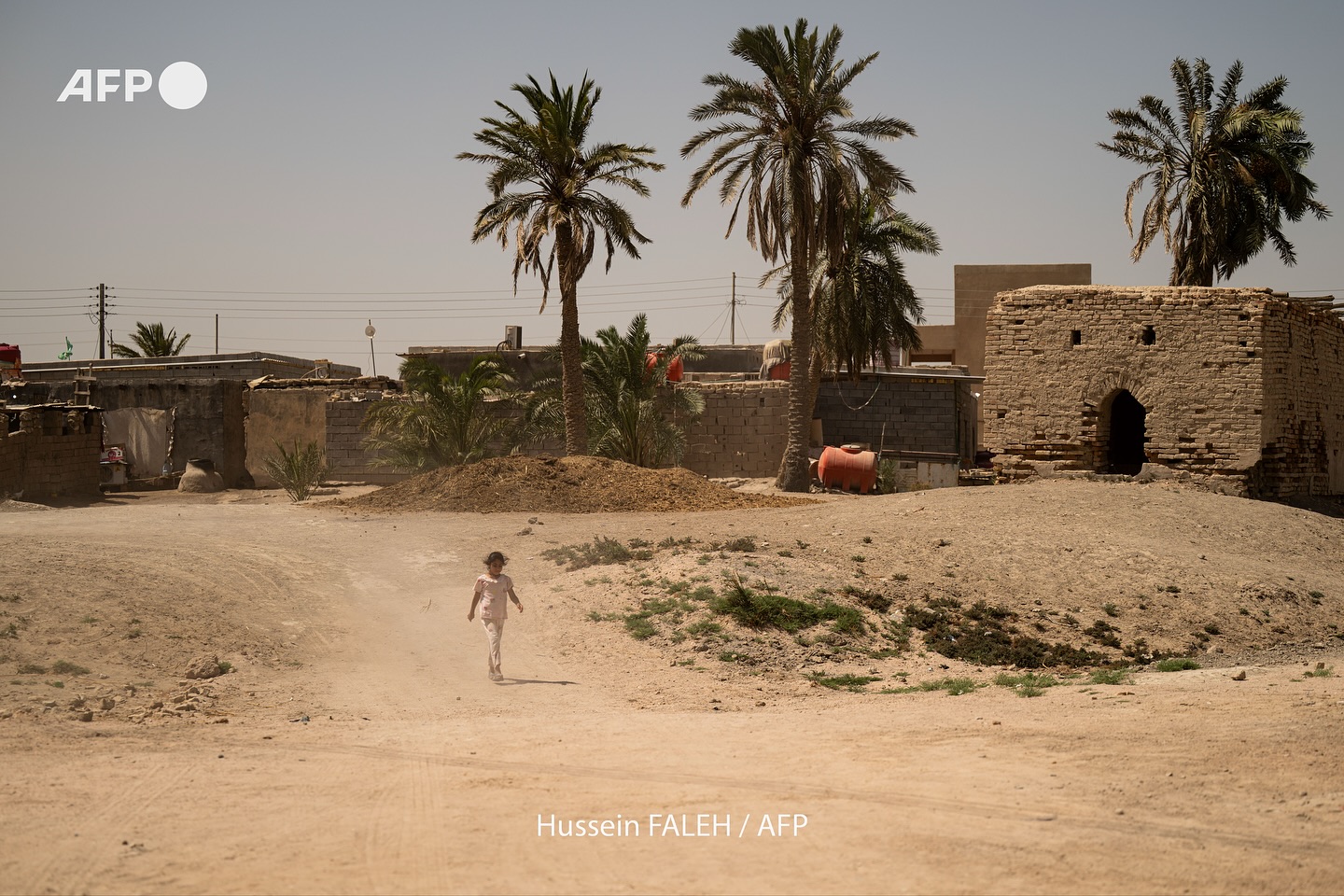 "خسرنا 70% منها".. كارثة بيئية في العراق: نفوق الطيور والحيوانات واختفاء محصول العنبر بسبب الجفاف