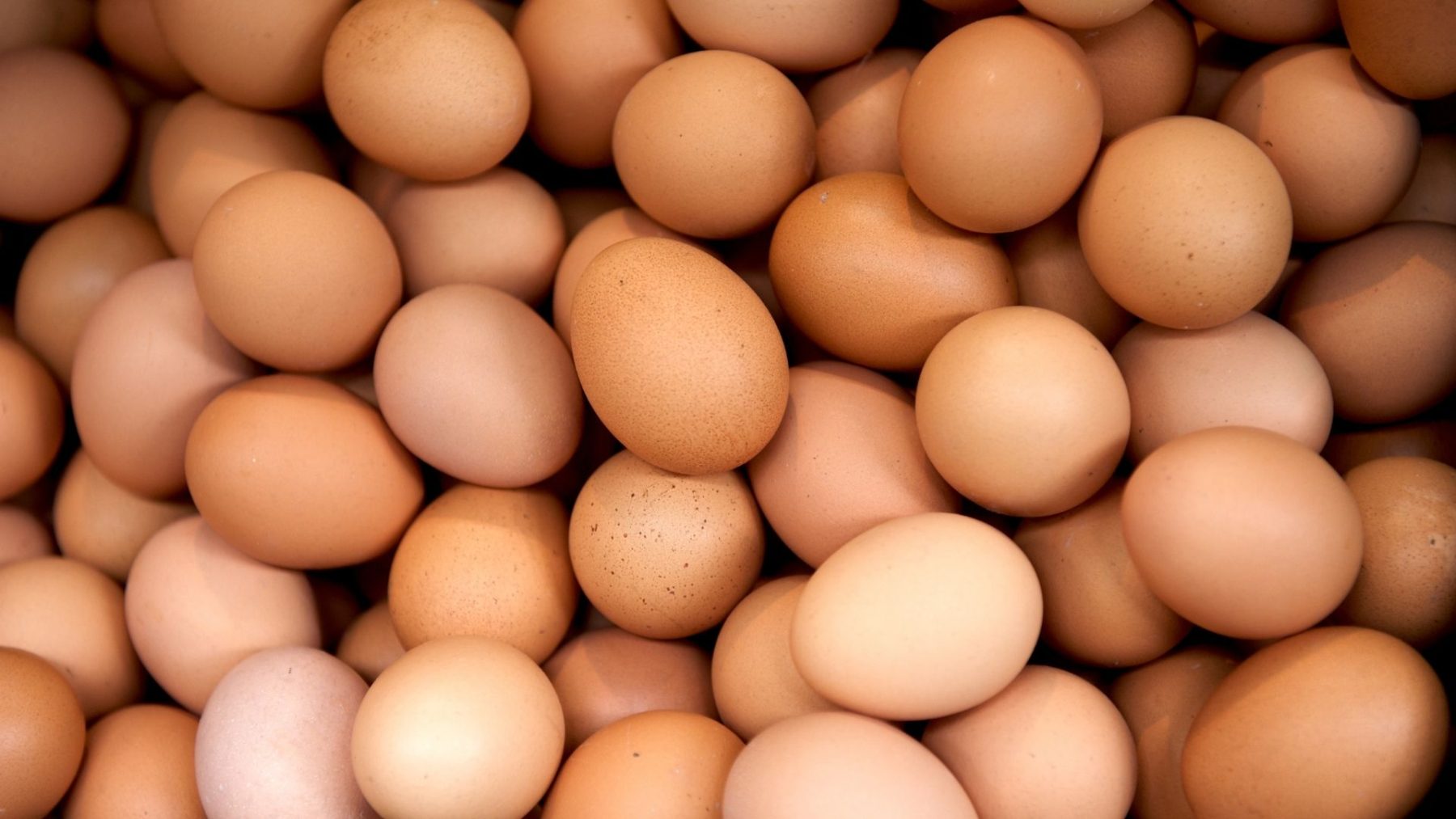 العراق يمنع استيراد البيض: حماية للمنتج الوطني