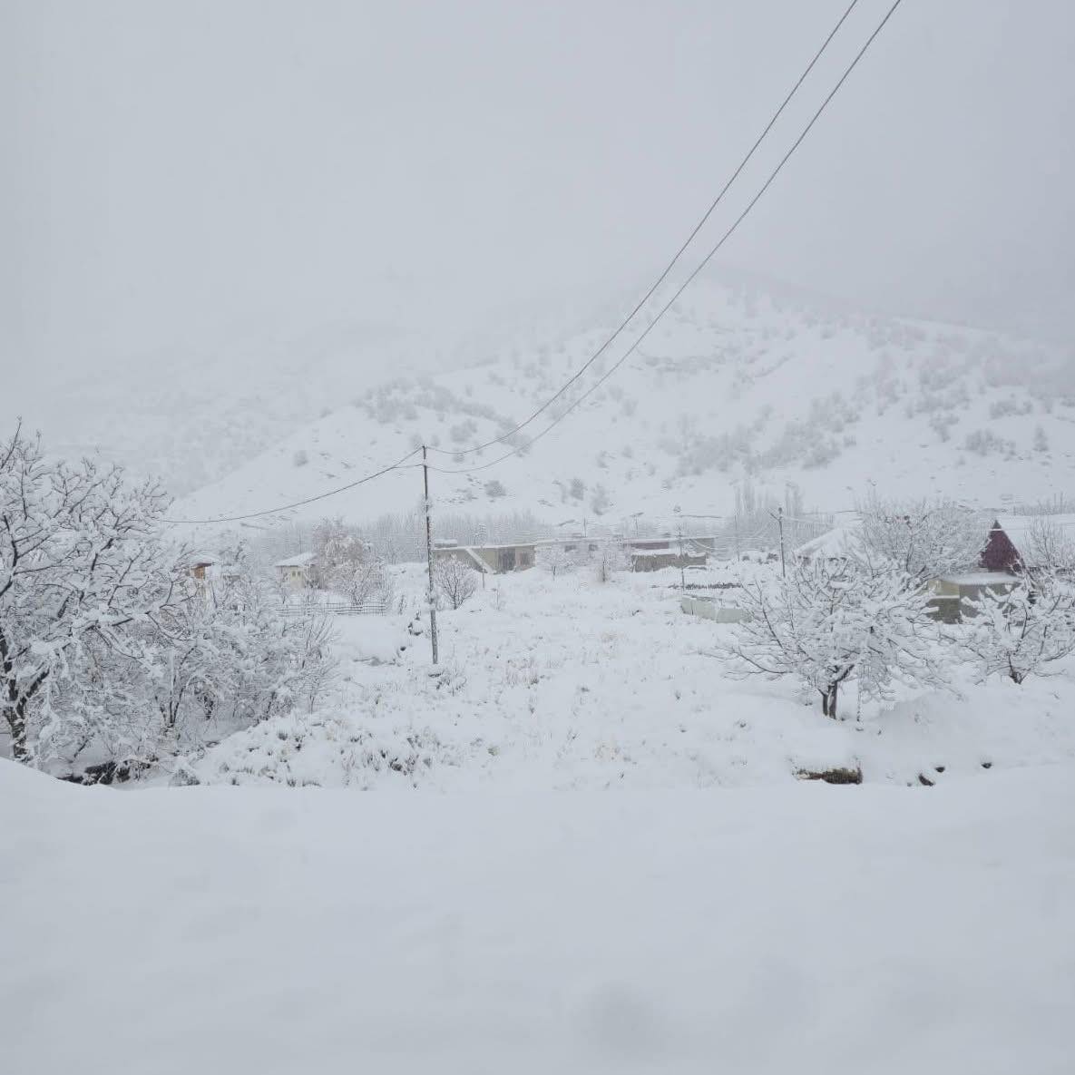 "زمهرير قطبي" يطبق على العراق.. الأنواء الجوية تفصل حالة الطقس للمواطنين