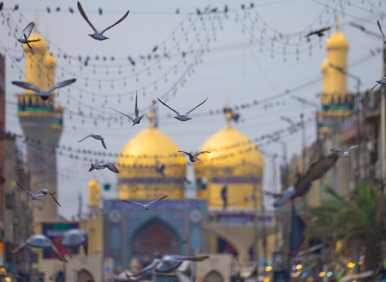 محوريَّة العقل في فكر الامام الكاظم (عليه السلام)