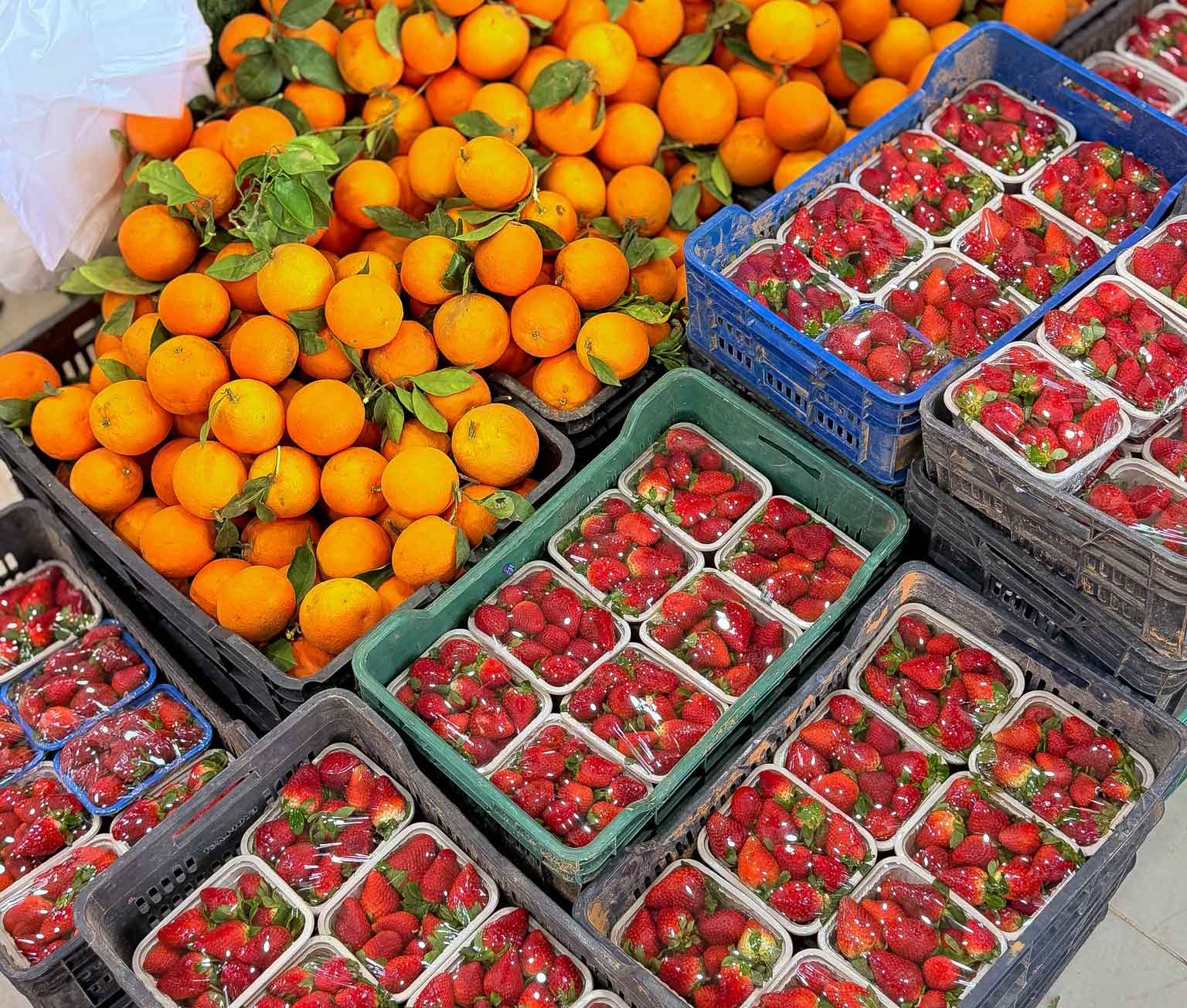 بزيادة 114%.. صادرات تركيا الزراعية للعراق خلال 2025 تقفز إلى 838.7 مليون دولار