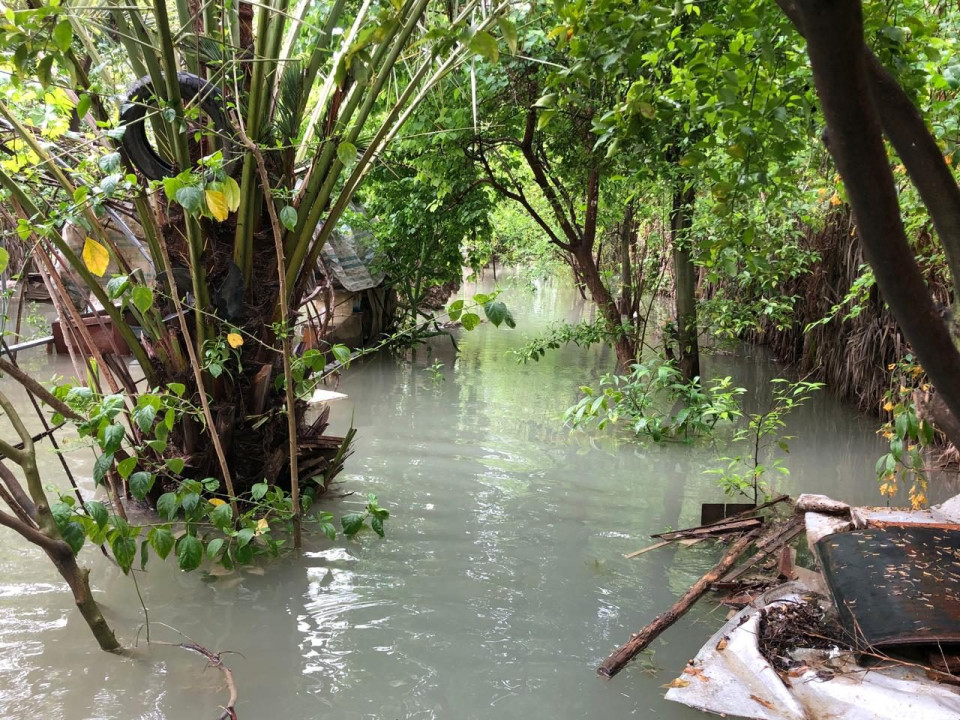 فيضانات ديالى تجرف أحلام المزارعين.. بساتين تتحول إلى بحيرات وخسائر بمئات الملايين