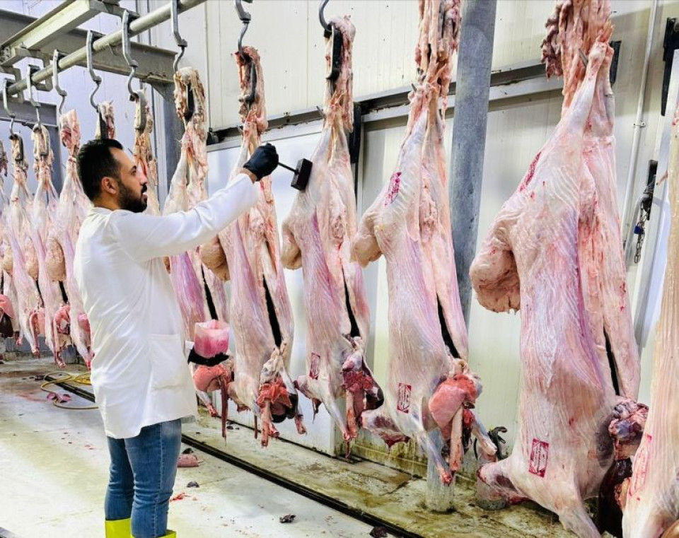 كربلاء تطلق مبادرة مجانية لجزر الأضاحي للحد من الجزر العشوائي خلال العيد