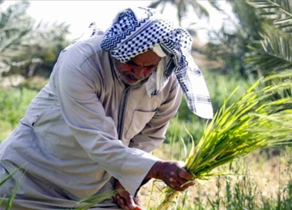 الزراعة تبشر الفلاحين بـ"مستحقات" مالية خلال العام الحالي