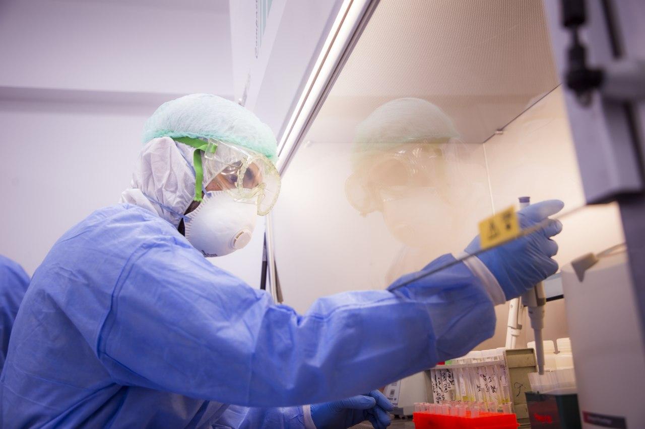 حالة شفاء جديدة وعدم تسجيل إصابة بكورونا في كربلاء