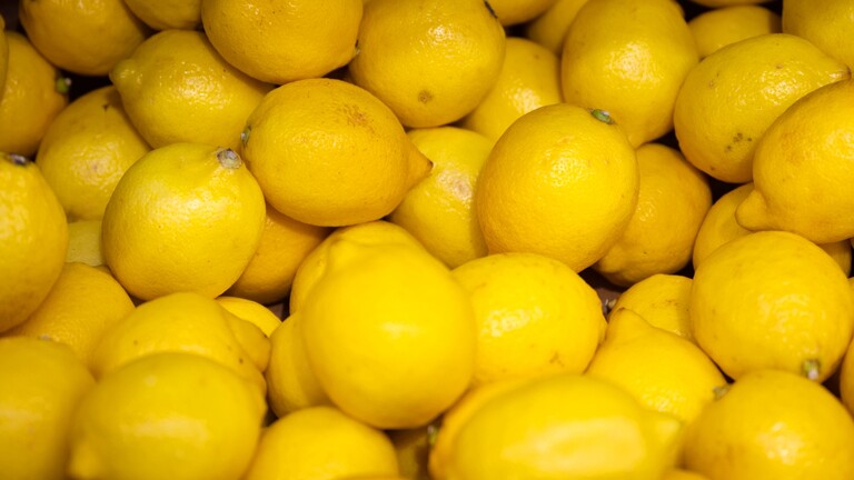 بسبب التسمم.. روسيا تحظر استيراد منتجات زراعية من شركة تركية