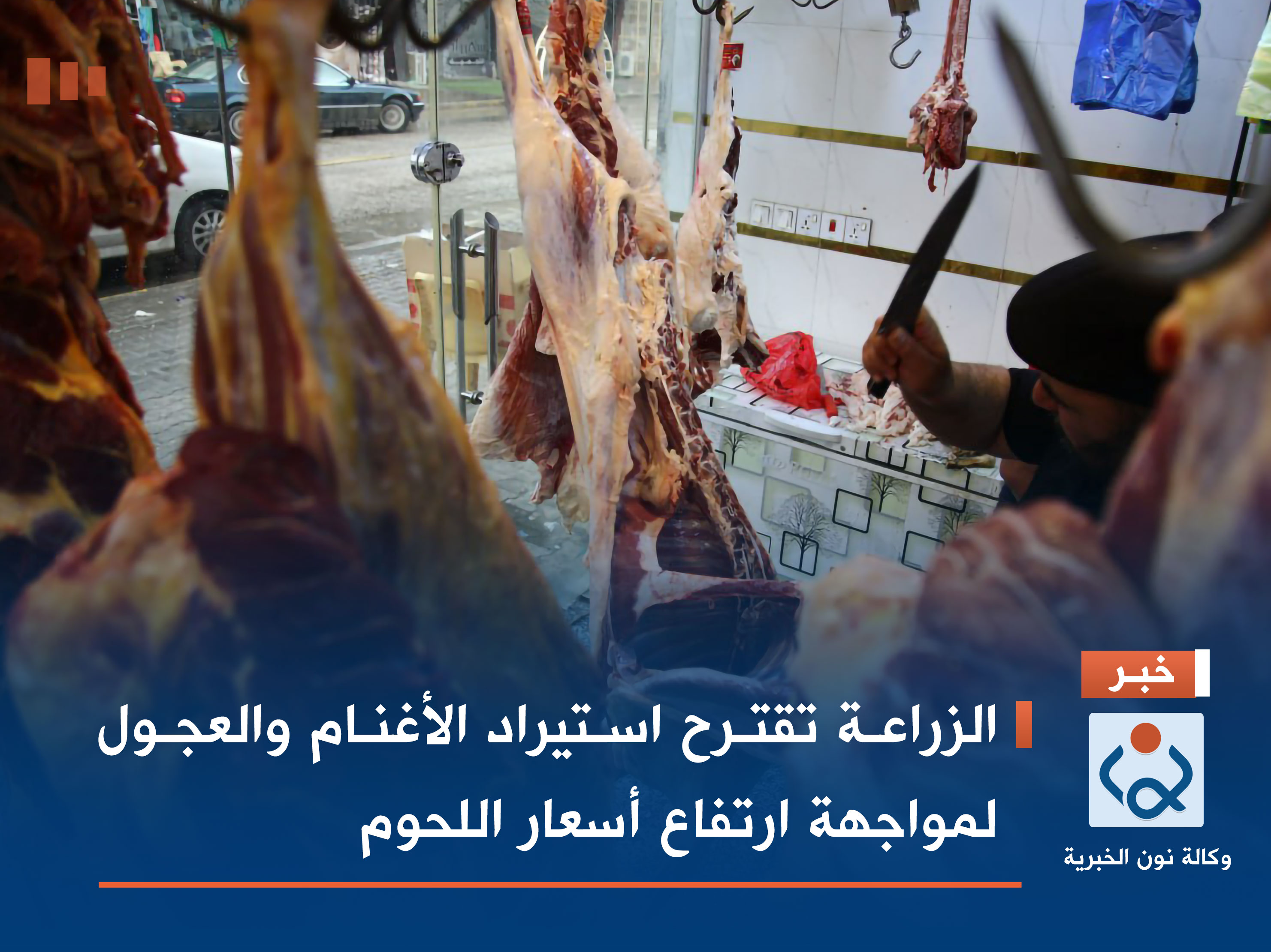 الزراعة تقترح استيراد الأغنام والعجول لمواجهة ارتفاع أسعار اللحوم