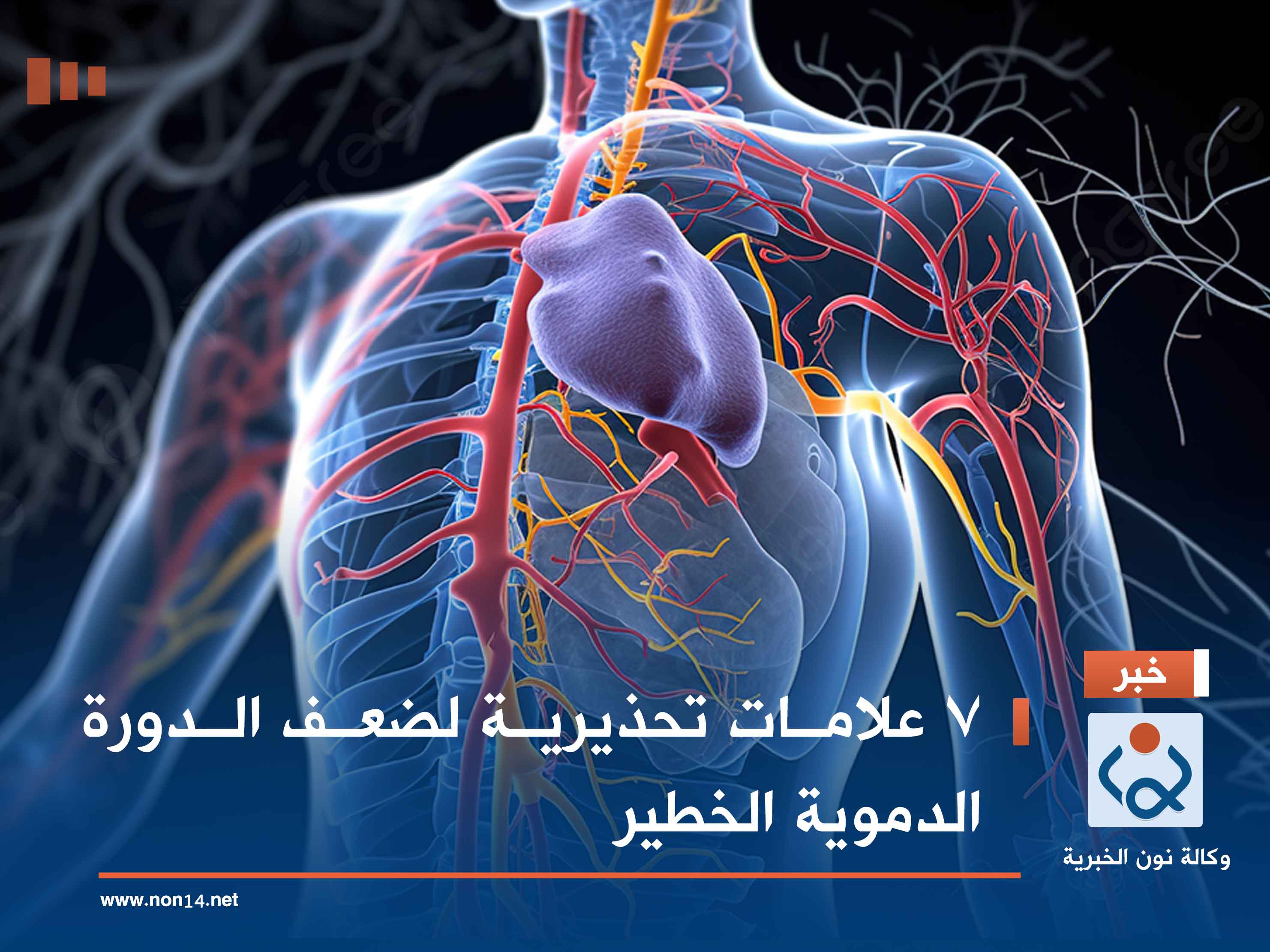 7 علامات تحذيرية لضعف الدورة الدموية الخطير