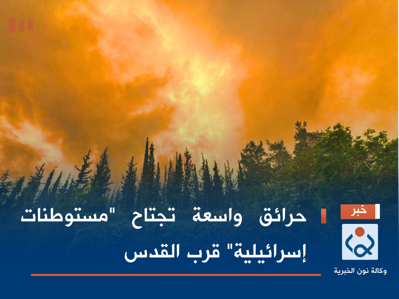 حرائق واسعة تجتاح "مستوطنات إسرائيلية" قرب القدس (صور)