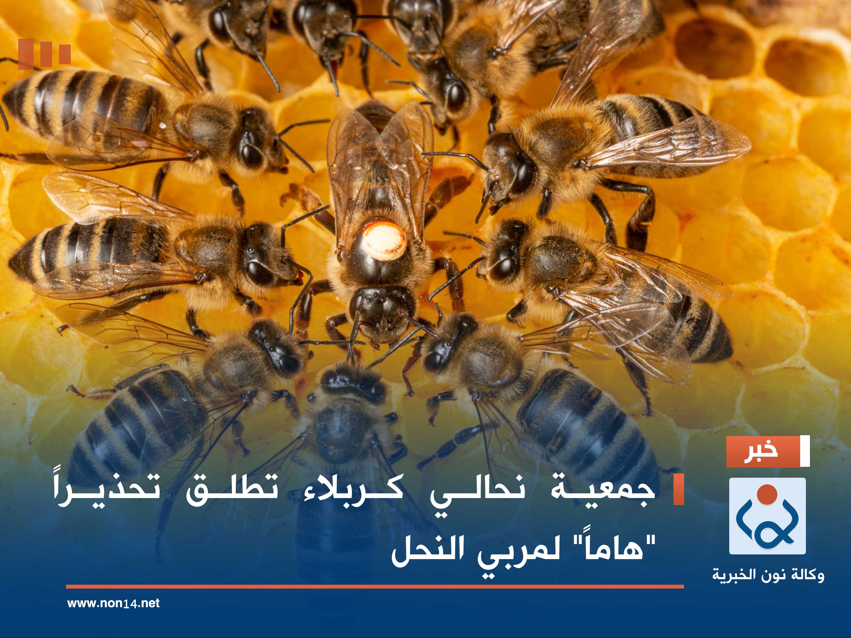 جمعية نحالي كربلاء تطلق تحذيراً "هاماً" لمربي النحل