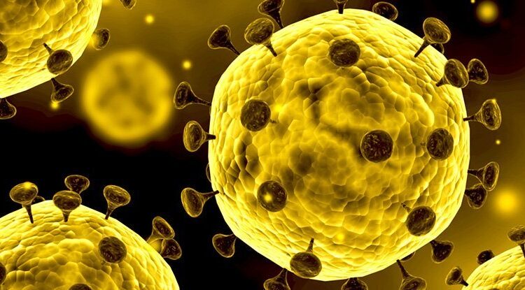 5 أسئلة عن فيروس كورونا ما زال الجميع يجهل إجاباتها