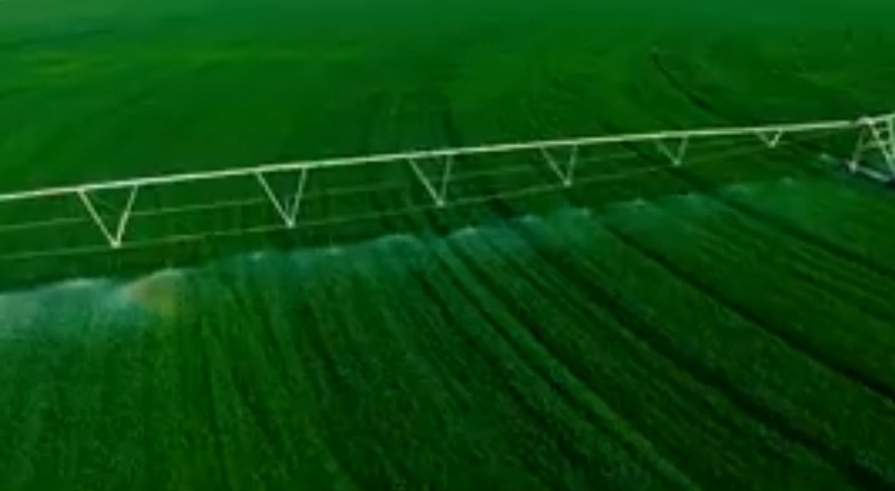 بالفيديو:احياء 5000 دونم في صحراء كربلاء بطريقة حديثة دعما للمنتوج الوطني