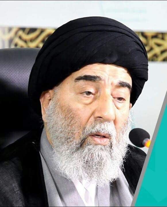 اية الله السيد علي السبزواري يعود الى النجف الاشرف بعد تماثله للشفاء