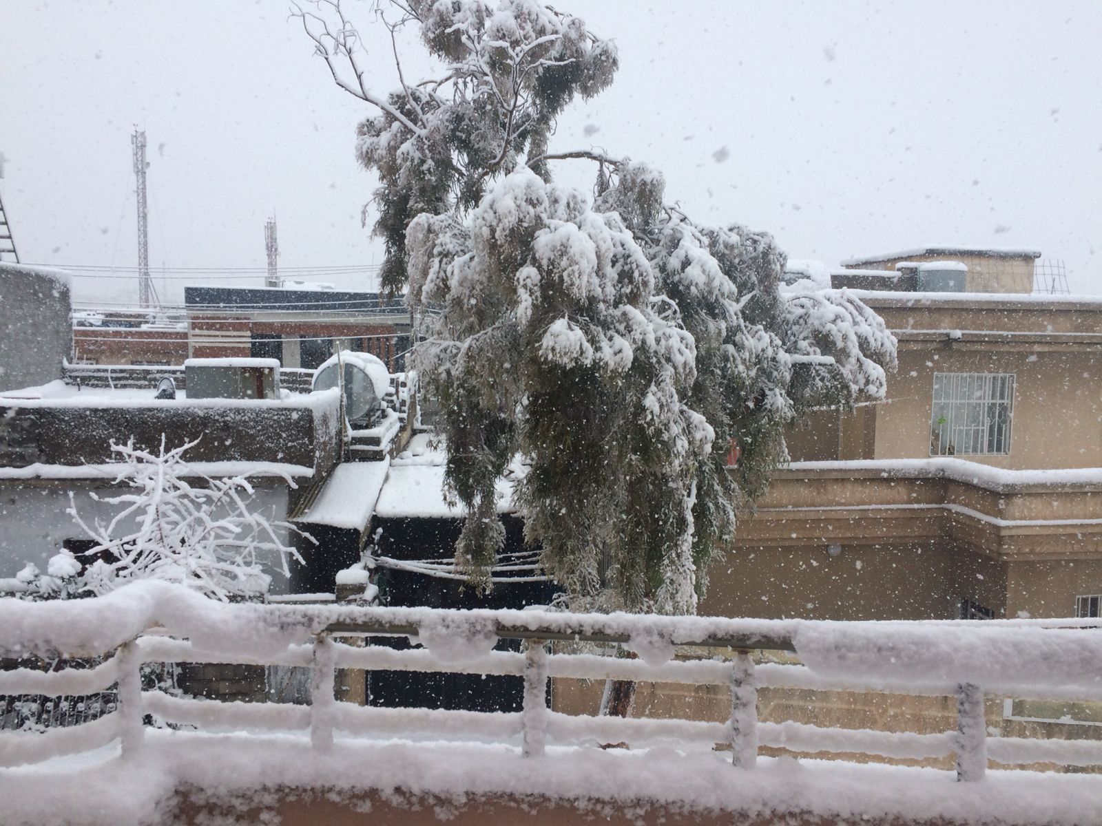 البرد الشديد ينهي حياة إيراني في السليمانية