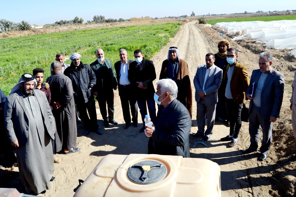 مشاهدات حقلية للكشف عن حشرة المن وطرق مكافحتها في كربلاء