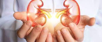 تعرف افضل الاطعمة لحماية الكلى