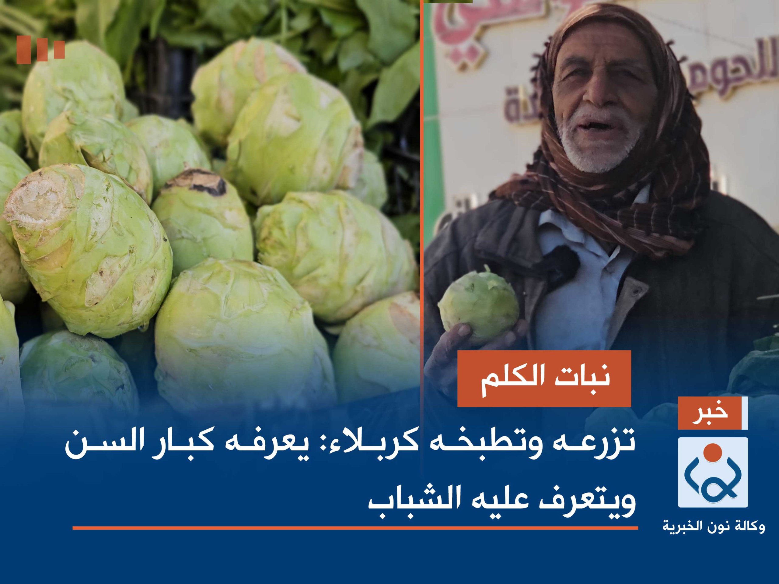 نبات الكلم..  تزرعه وتطبخه كربلاء: يعرفه كبار السن ويتعرف عليه الشباب(فيديو)