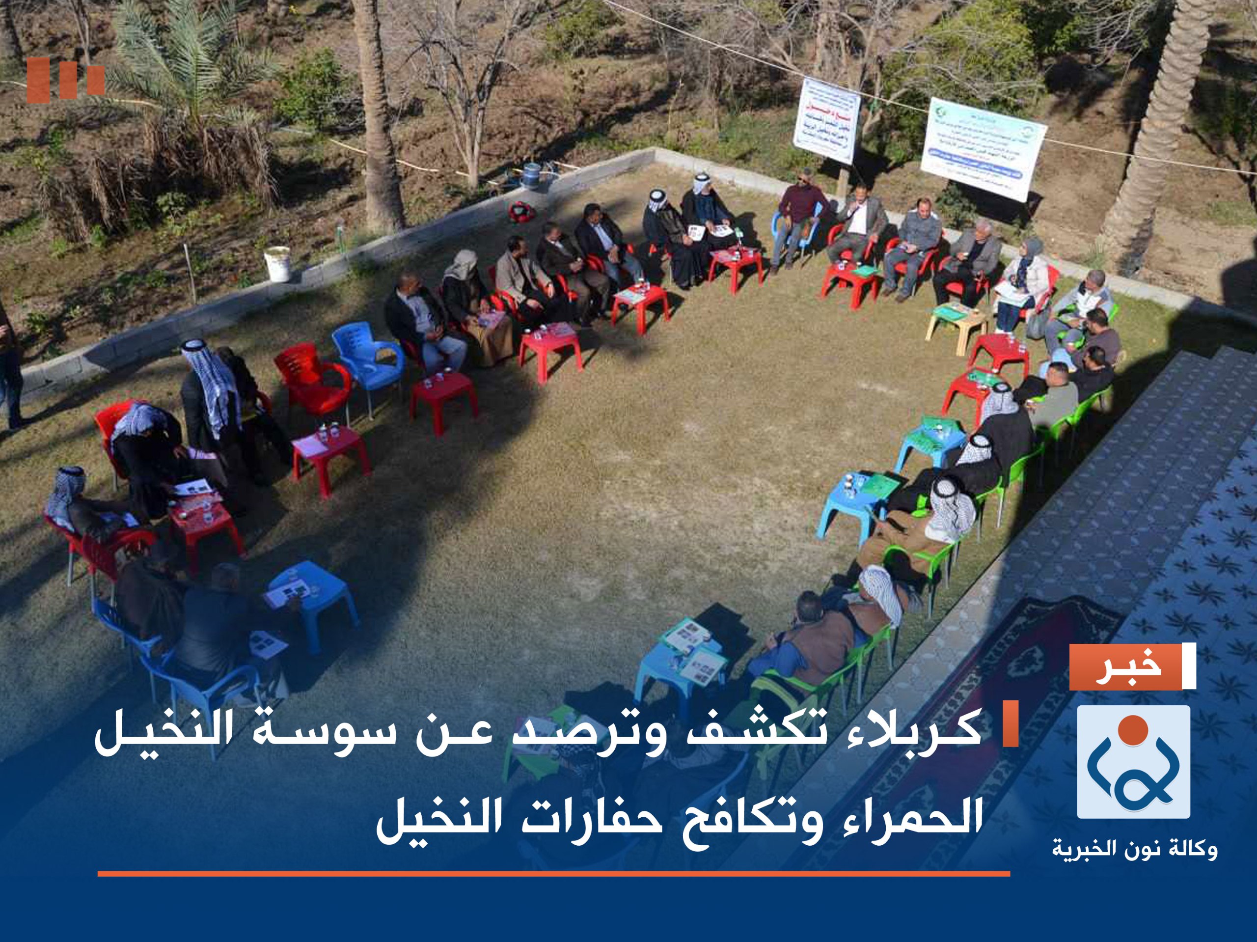 كربلاء تكشف وترصد عن سوسة النخيل الحمراء وتكافح حفارات النخيل