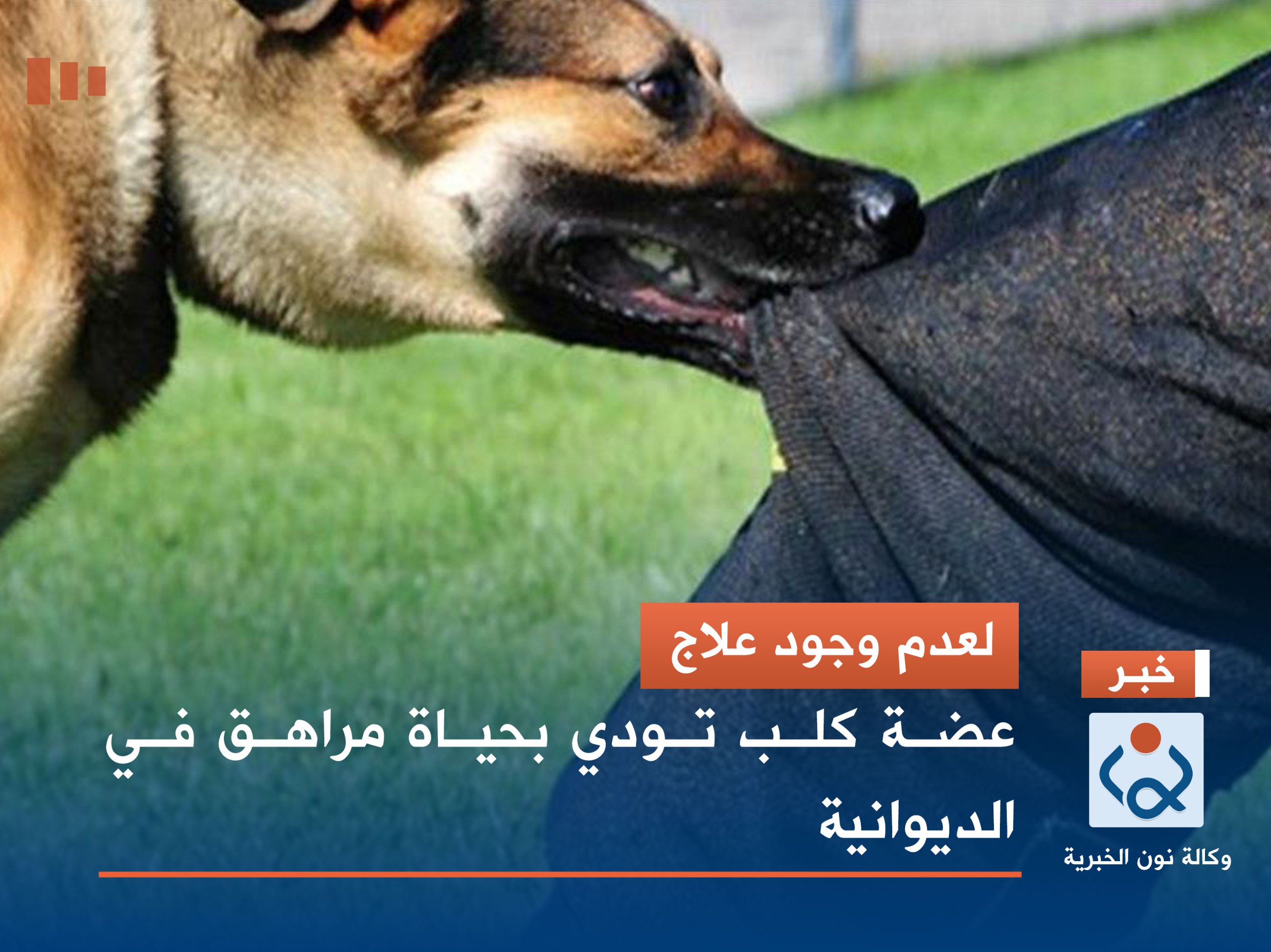 لعدم وجود علاج.. عضة كلب تودي بحياة مراهق في الديوانية