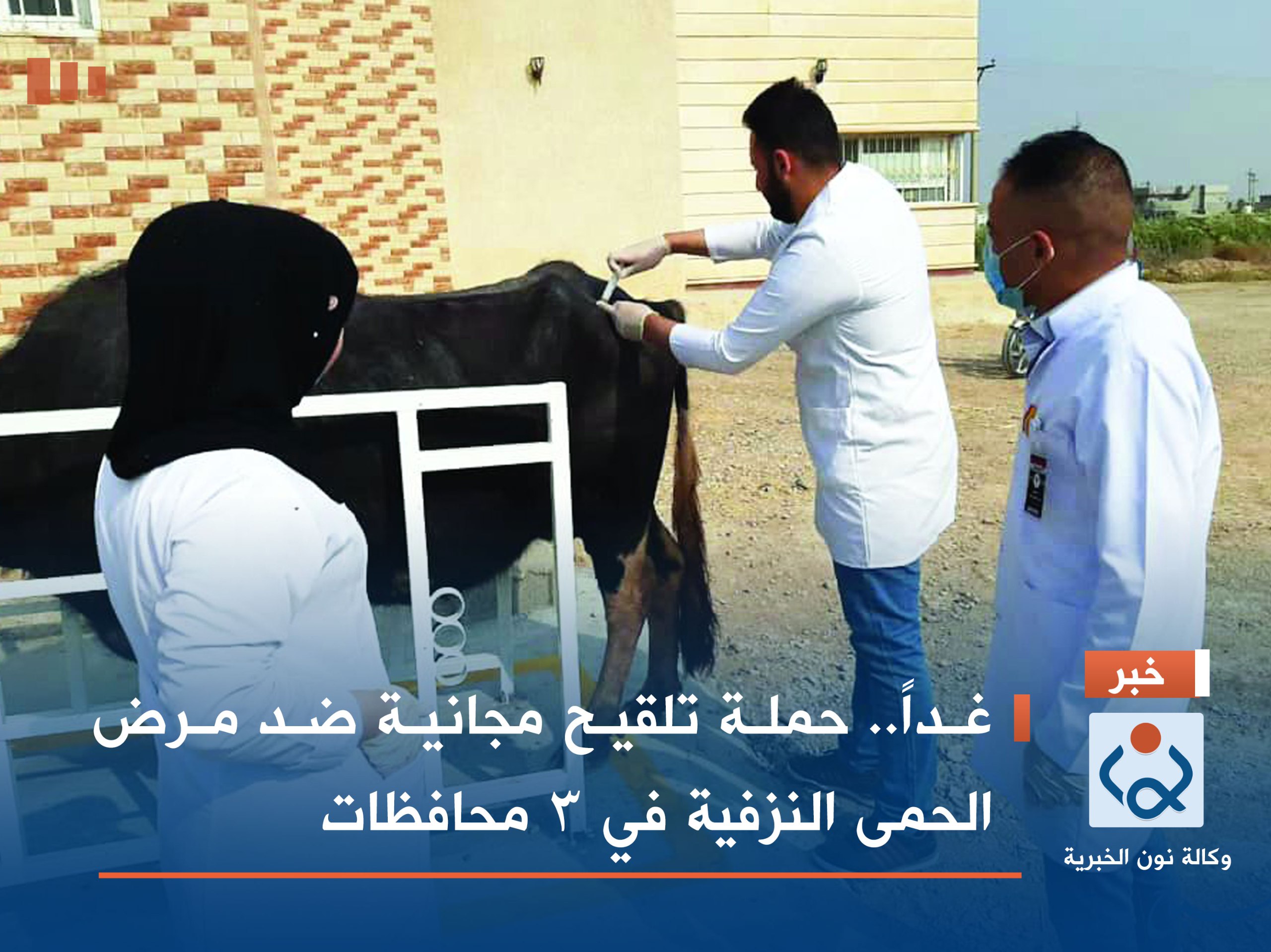 غداً.. حملة تلقيح مجانية ضد مرض الحمى النزفية في 3 محافظات